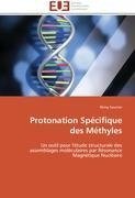 Protonation Spécifique des Méthyles