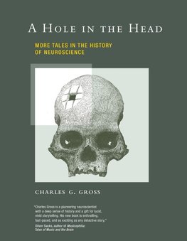 A Hole in the Head