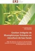 Gestion intégrée de Rhamphicarpa fistulosa en riziculture de bas-fonds