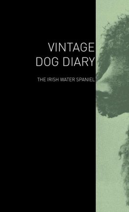 The Vintage Dog Diary - The Irish Water Spaniel