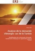 Analyse de la demande d'énergie: cas de la Tunisie