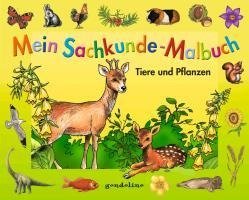 Mein Sachkunde-Malbuch Tiere und Pflanzen (grün)