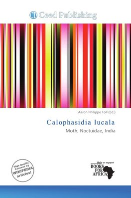 Calophasidia lucala