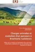 Charges animales et évolution d'un parcours à Brachiaria ruziziensis