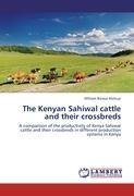 The Kenyan Sahiwal cattle and their crossbreds