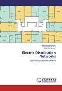 Electric Distribution Networks