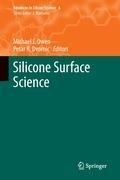 Silicone Surface Science
