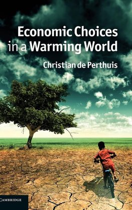 Economic Choices in a Warming World