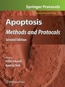 Apoptosis