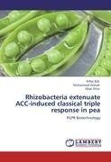 Rhizobacteria extenuate ACC-induced classical triple response in pea