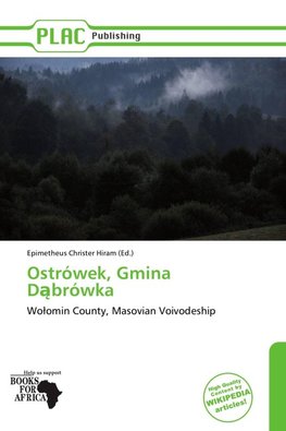 Ostrówek, Gmina D¿brówka