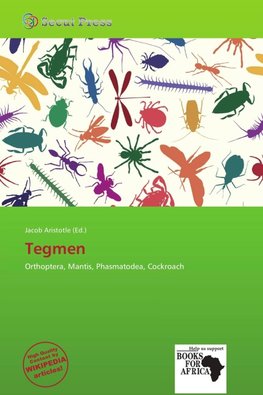 Tegmen