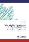 Why is Public Procurement so Inefficient: Czech Case