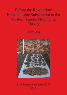 Before the Revolution