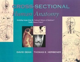 Cross-Sectional Human Anatomy
