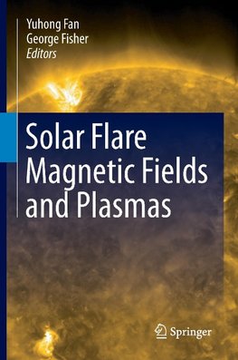 Solar Flare Magnetic Fields and Plasmas