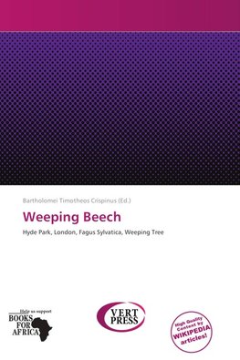 Weeping Beech