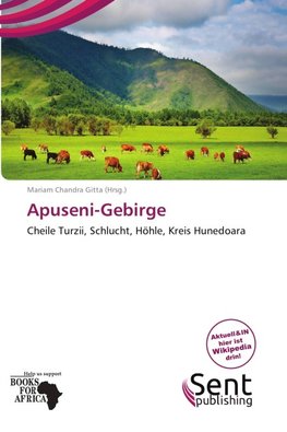 Apuseni-Gebirge