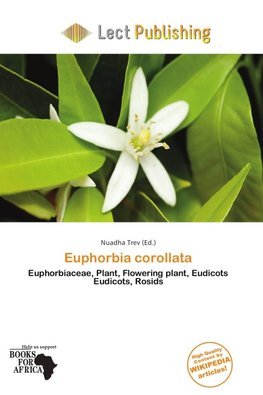 Euphorbia corollata