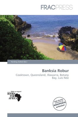 Banksia Robur