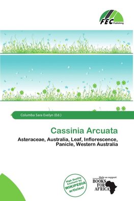 Cassinia Arcuata