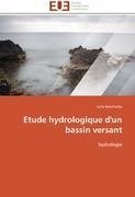 Etude hydrologique d'un bassin versant