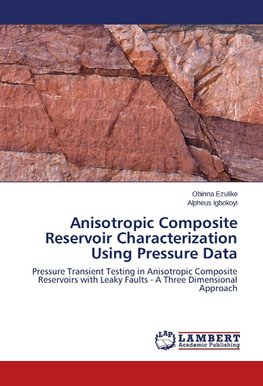 Anisotropic Composite Reservoir Characterization Using Pressure Data