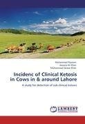 Incidenc of Clinical Ketosis in Cows in & around Lahore