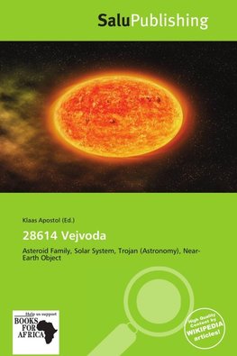 28614 Vejvoda