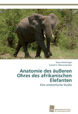 Anatomie des äußeren Ohres des afrikanischen Elefanten