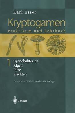 Kryptogamen 1