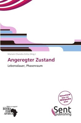 Angeregter Zustand