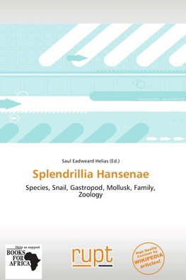 Splendrillia Hansenae