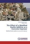 The Effect of a Modified Zeolite Additive as a Concrete Improver