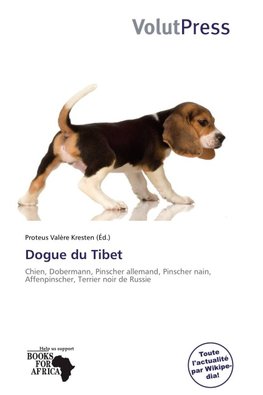 Dogue du Tibet
