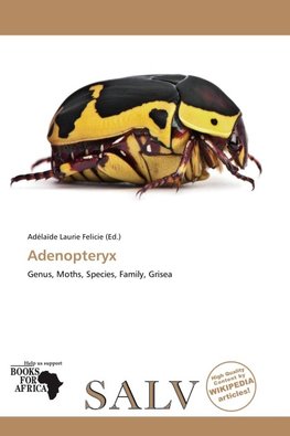Adenopteryx