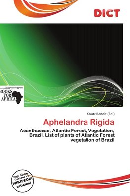 Aphelandra Rigida