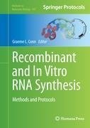 Recombinant and In Vitro RNA Synthesis