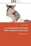 La consultation du Sugar Glider (Petaurus breviceps)