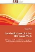 Cupriavidus pauculus (ex-CDC group IVc-2)