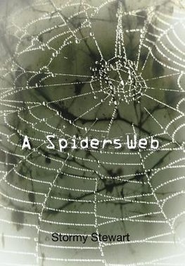 A Spiders Web