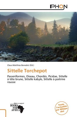 Sittelle Torchepot