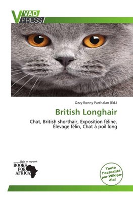 British Longhair