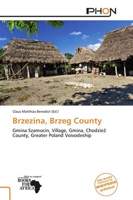 Brzezina, Brzeg County
