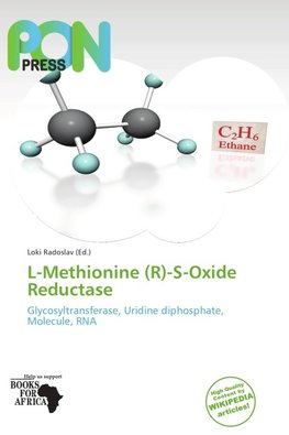 L-Methionine (R)-S-Oxide Reductase