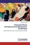 Potential Micro Entrepreneurial Borrowers: Challenges