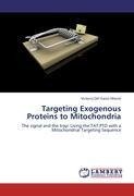 Targeting Exogenous Proteins to Mitochondria