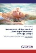 Assessment of Biochemical Leaching of Domestic Sewage Sludge