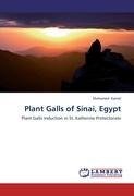 Plant Galls of Sinai, Egypt