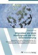 Migration vor dem Hintergrund der EU-Osterweiterung